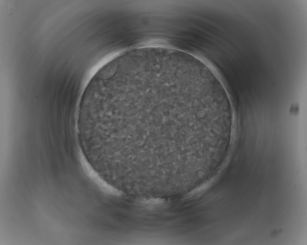 X0000112070957200909151046