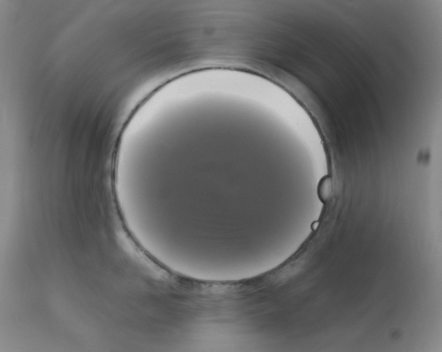 X0000112070958200909151046