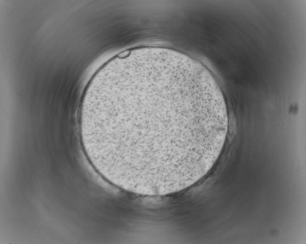 X0000112070959200909151046