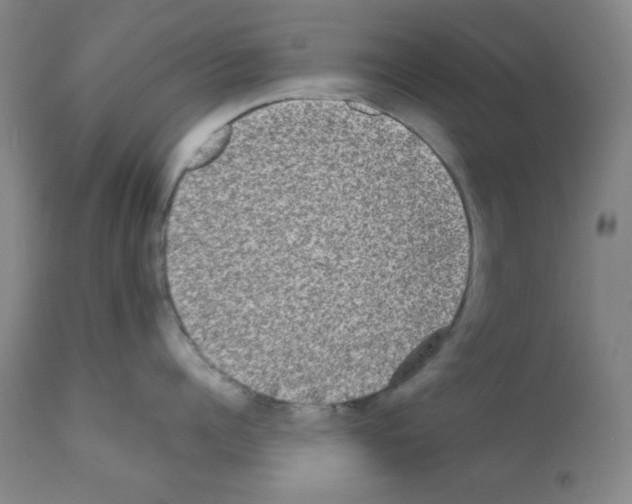 X0000112070960200909151046