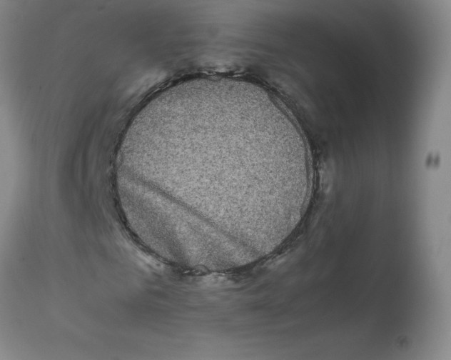 X0000112070961200909151045