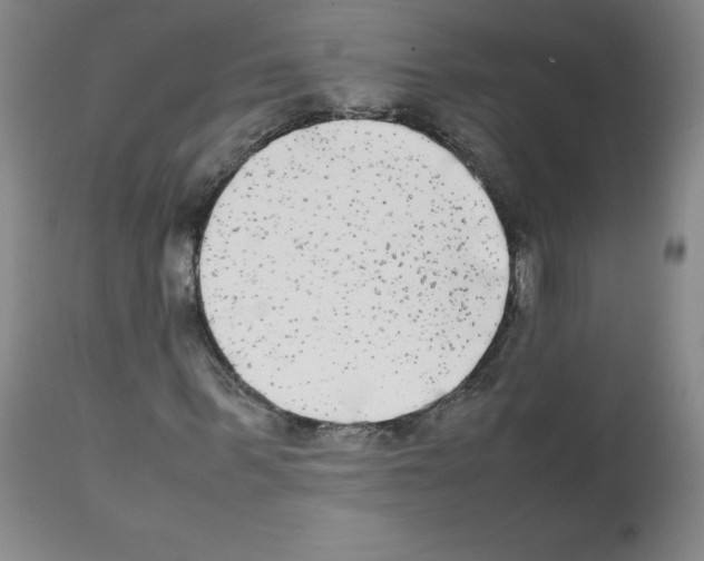 X0000112070963200909151045