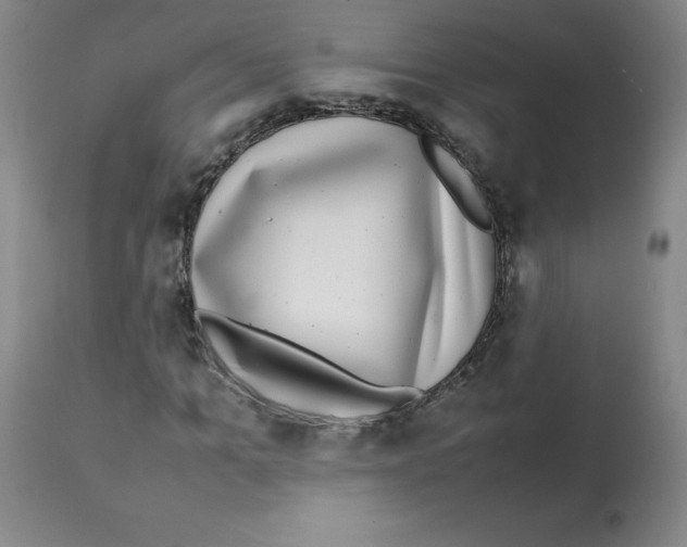 X0000112070965200909151045