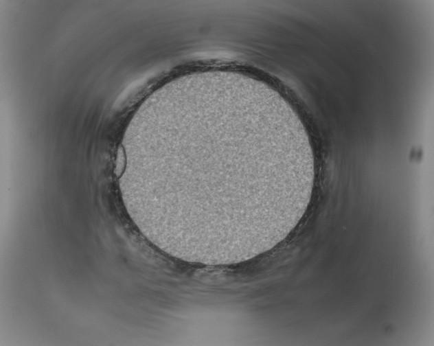 X0000112070967200909151045