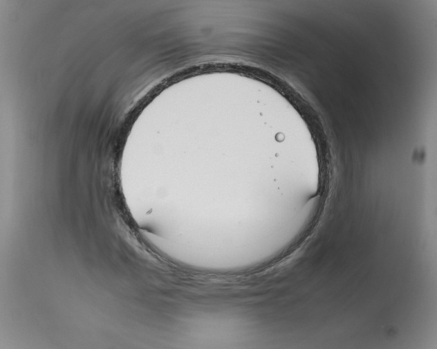 X0000112070969200909151045