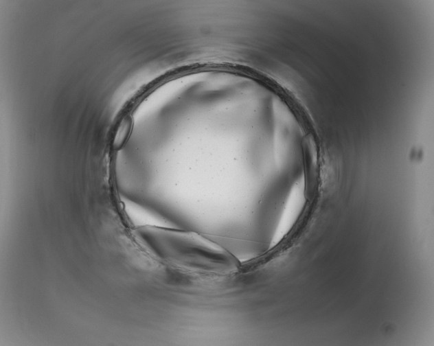 X0000112070973200909151045