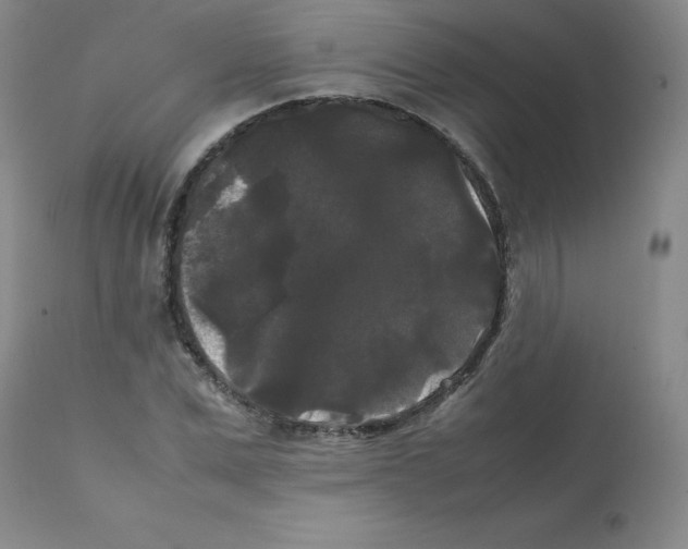 X0000112070975200909151045