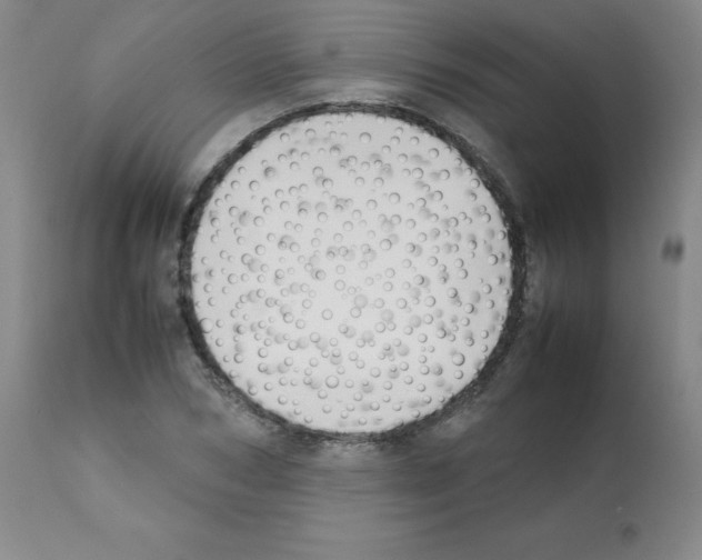 X0000112070978200909151045