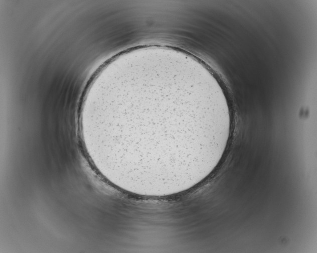 X0000112070980200909151045
