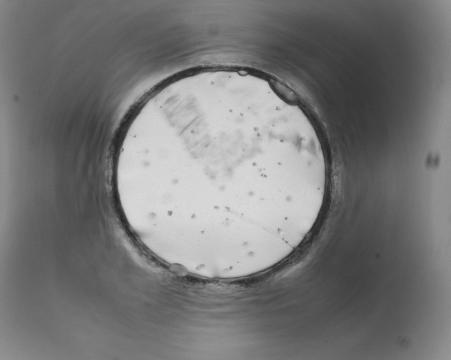 X0000112070981200909151045