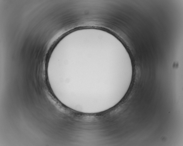 X0000112070982200909151045