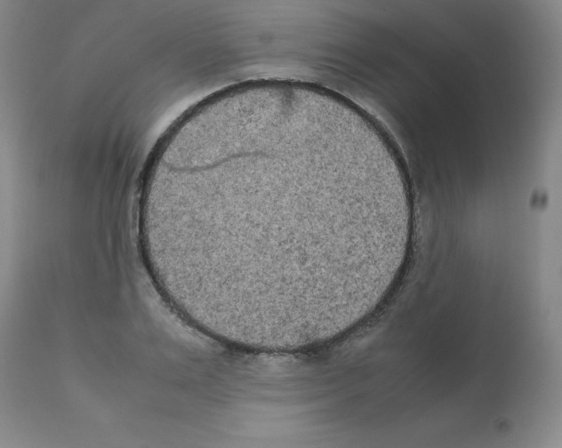 X0000112070983200909151045