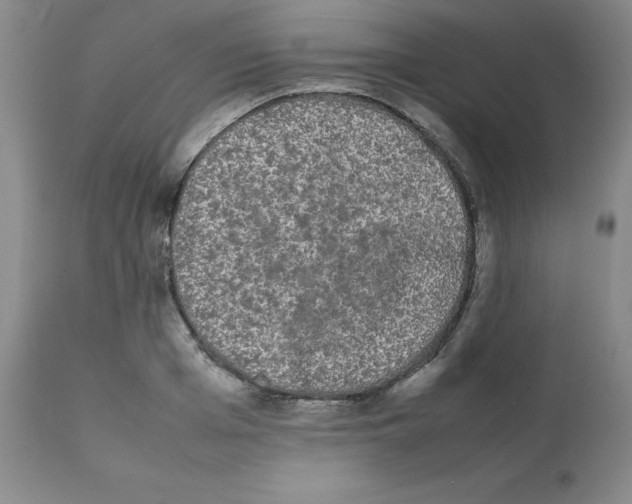X0000112070985200909151044