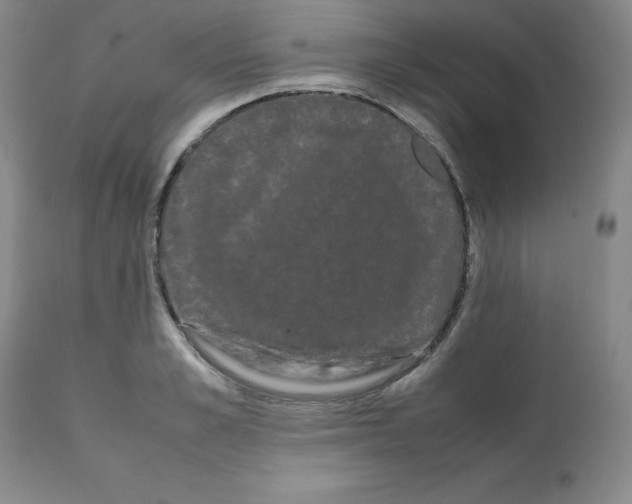 X0000112070989200909151044