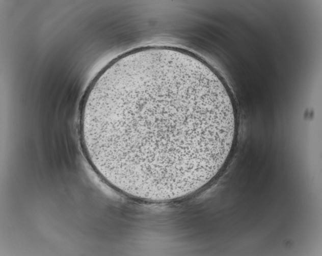 X0000112070990200909151044