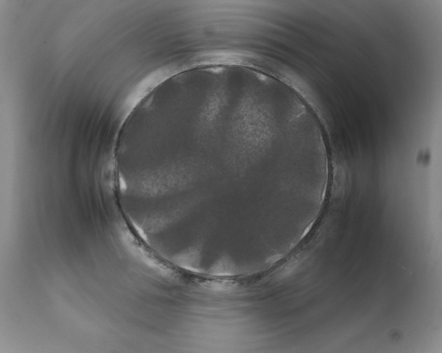 X0000112070994200909151044