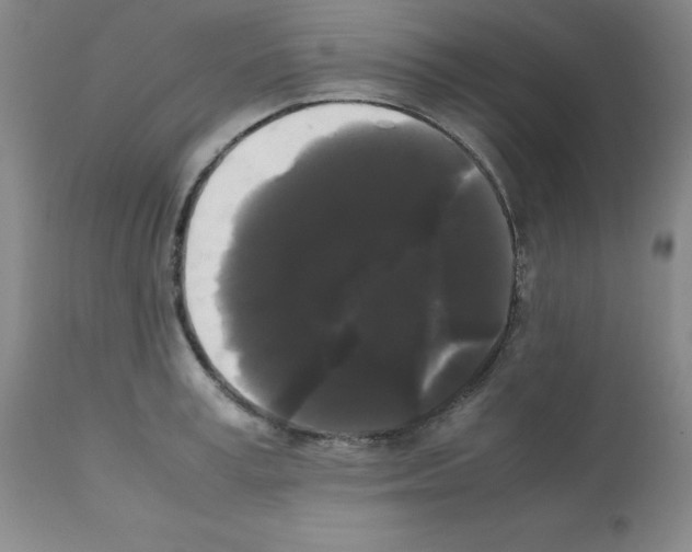 X0000112070995200909151044