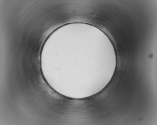 X0000112070996200909151044