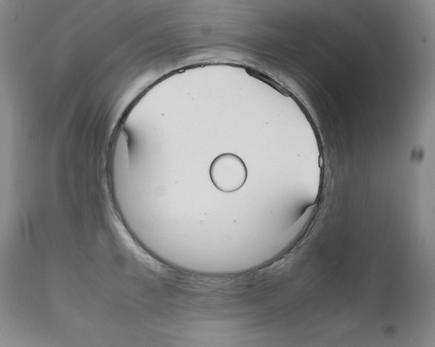 X0000112070997200909151044