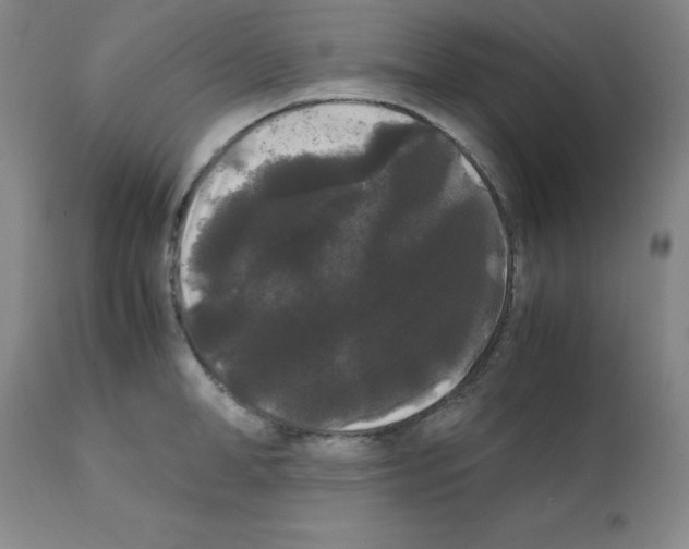 X0000112070998200909151044