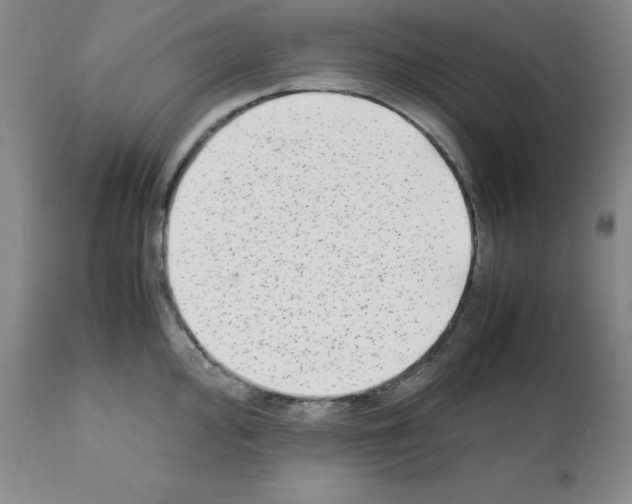 X0000112071000200909151044