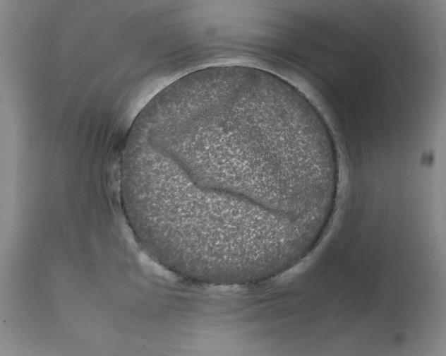 X0000112071001200909151044