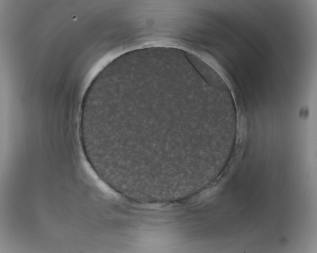X0000112071005200909151044