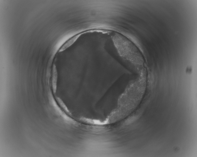 X0000112071007200909151044
