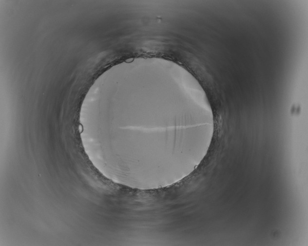 X0000112071009200909151044
