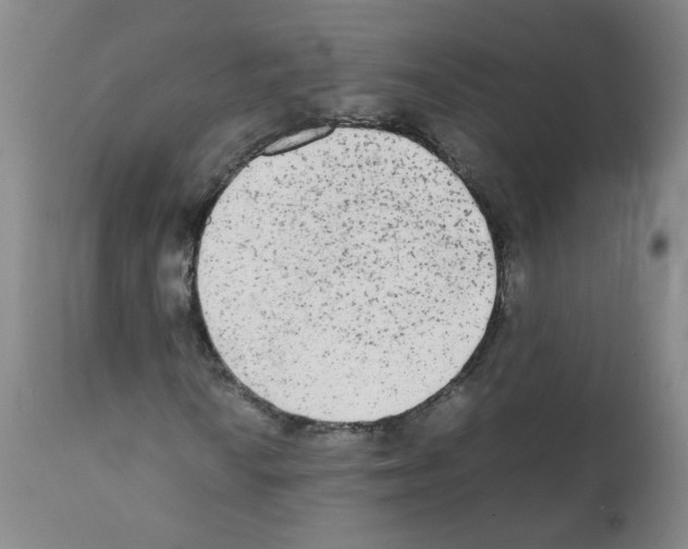 X0000112071010200909151044