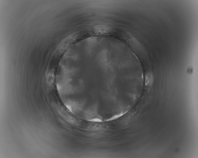 X0000112071011200909151044