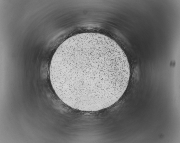 X0000112071014200909151044