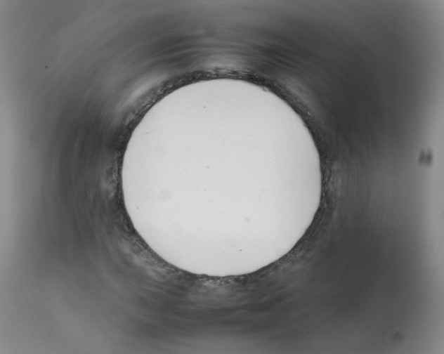 X0000112071015200909151044