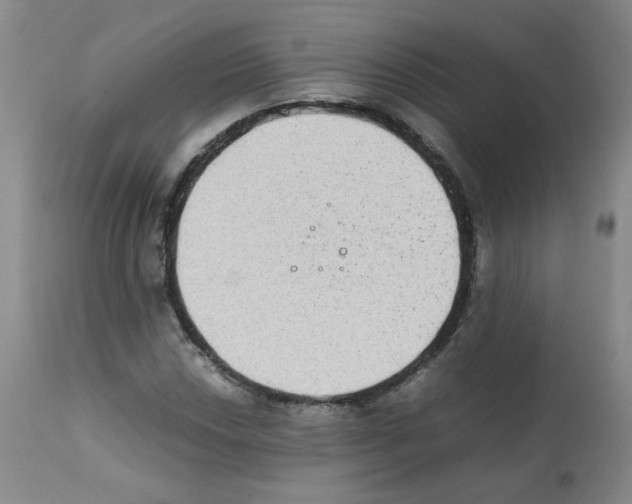 X0000112071018200909151044