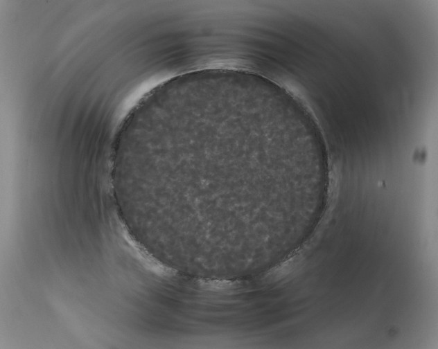 X0000112071019200909151044