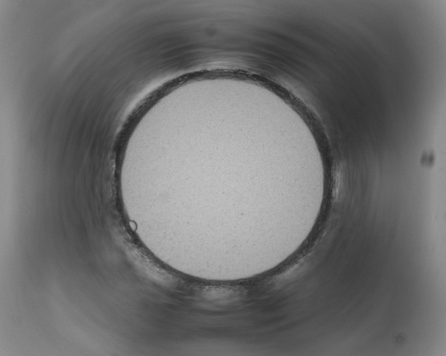 X0000112071021200909151044