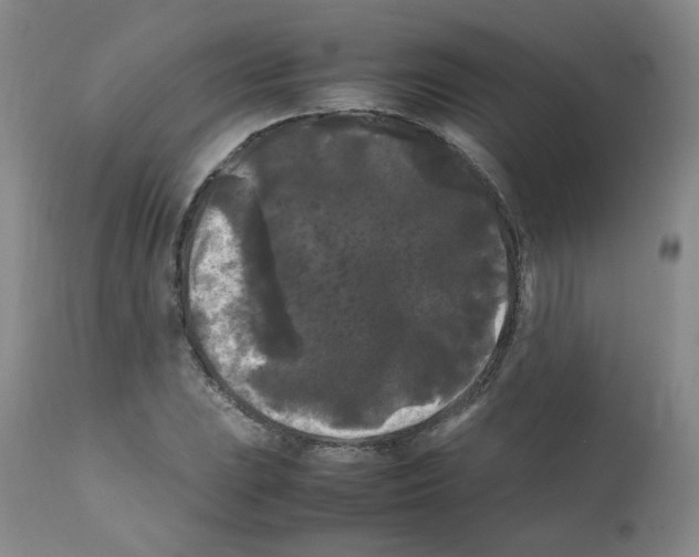 X0000112071023200909151044