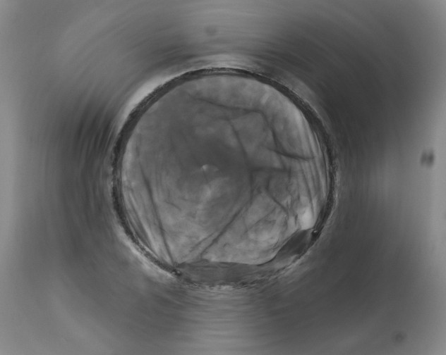 X0000112071024200909151044