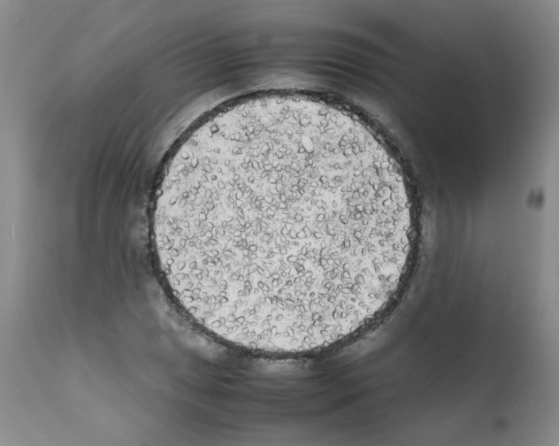 X0000112071025200909151044