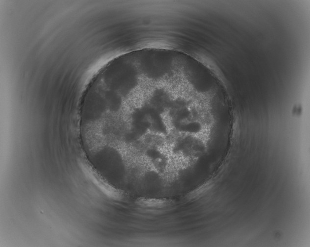 X0000112071027200909151044