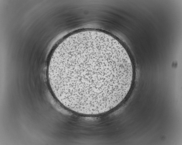 X0000112071029200909151044