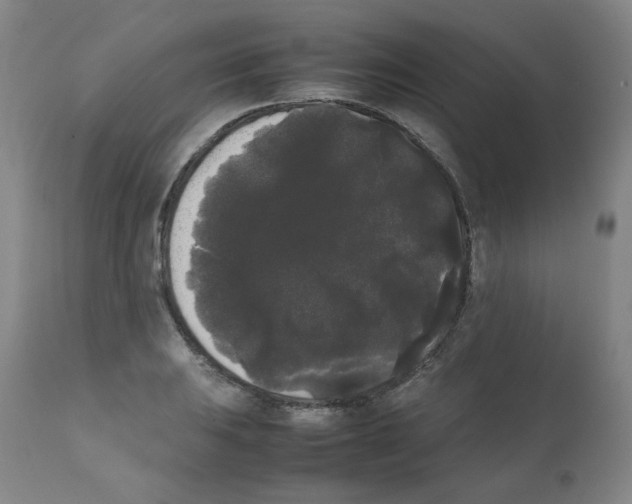 X0000112071031200909151044