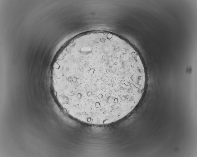 X0000112071032200909151044
