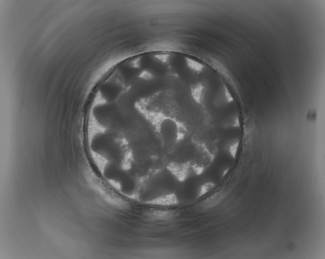 X0000112071035200909151044