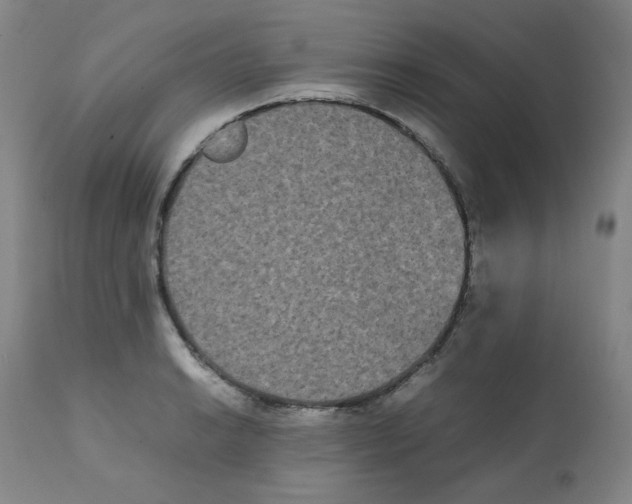 X0000112071038200909151044