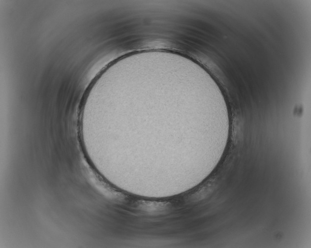 X0000112071039200909151044