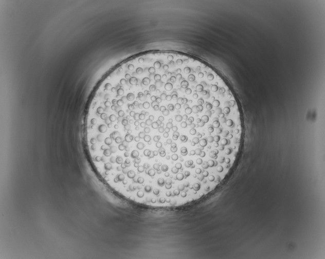 X0000112071040200909151044