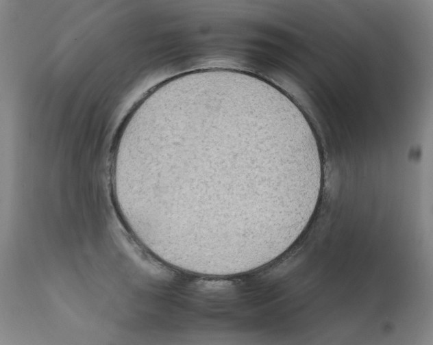 X0000112071043200909151044