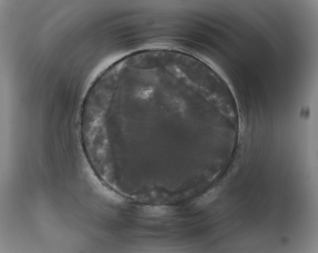 X0000112071045200909151044