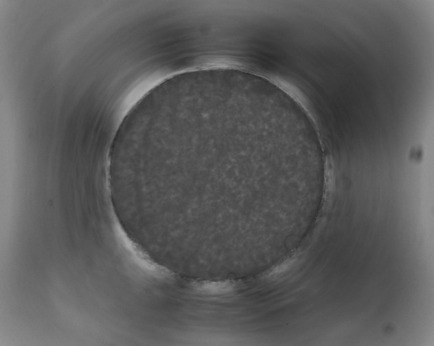 X0000112071047200909151044